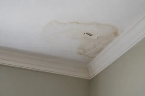 Water Damage