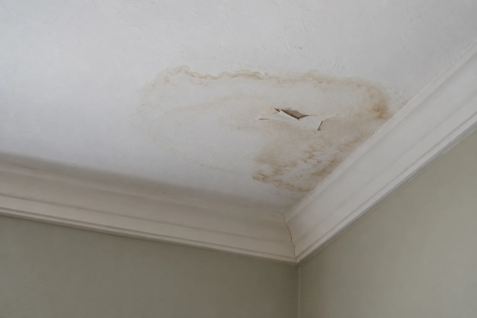 Illustration of water staining and damaged ceiling finish; the image does not diagnose mold